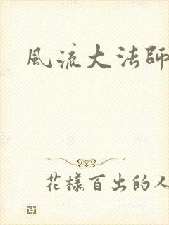 风流大法师封面