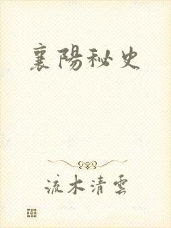 襄阳秘史