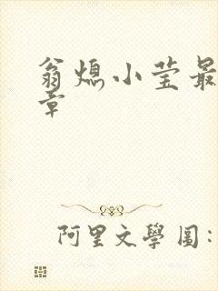翁熄小莹最新节章