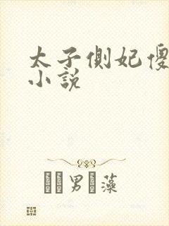太子侧妃傻乎乎小说
