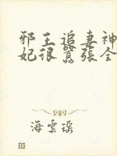 邪王追妻神医狂妃很嚣张全文免费封面