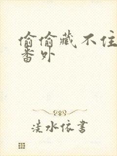 偷偷藏不住新婚番外