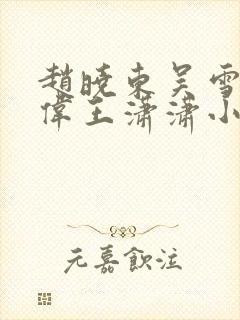 赵晓东吴雪晴郑伟王潇潇小说名字