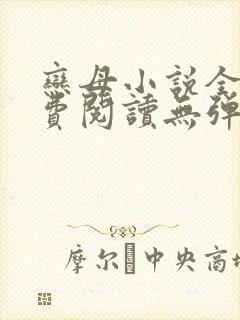 恋母小说全文免费阅读无弹窗笔趣阁