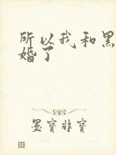 所以我和黑粉结婚了