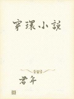 穿环小说