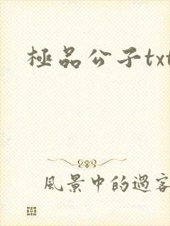 极品公子txt