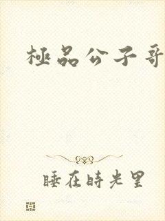 极品公子哥