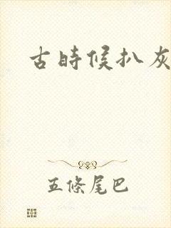 古时候扒灰小说
