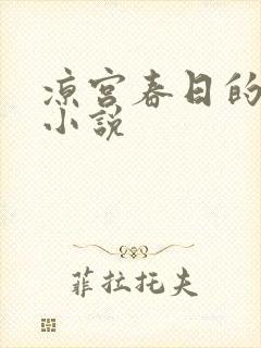 凉宫春日的忧郁小说