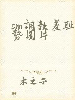 sm调教羞耻姿势图片