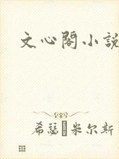 文心阁小说