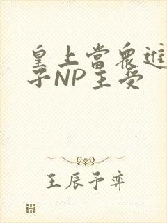 皇上当众进入太子NP主受