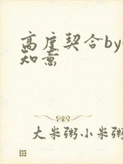 高度契合by洛知意
