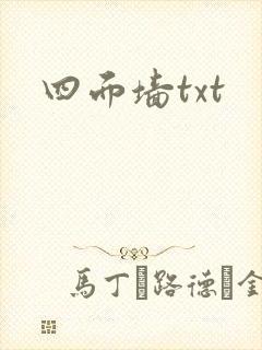 四面墙txt