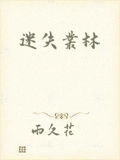 迷失丛林