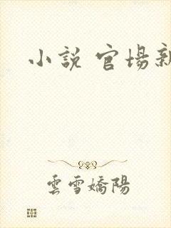 小说 官场新贵