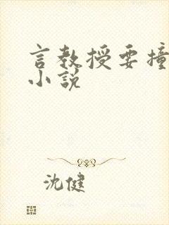 言教授要撞坏了小说
