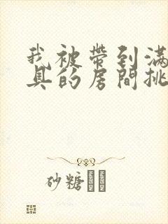 我被带到满是玩具的房间挑调游戏