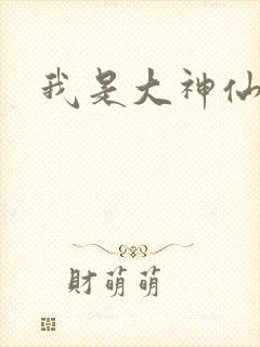 我是大神仙小说封面