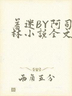 着迷BY阿司匹林小说全文免费阅读封面