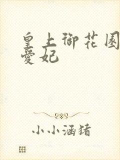 皇上御花园中要爱妃