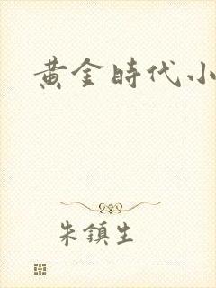 黄金时代小说