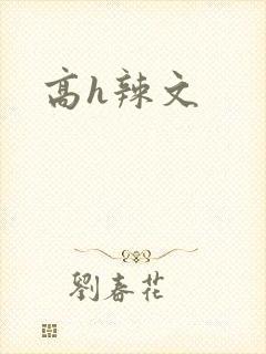 高h辣文