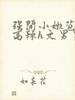 强开小嫩苞h文高辣h文男男封面