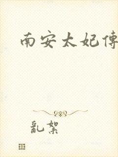 南安太妃传封面