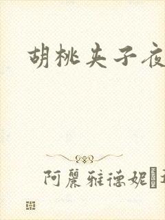 胡桃夹子夜未眠