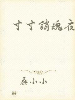 寸寸销魂夜春光