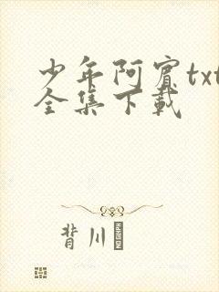 少年阿宾txt全集下载