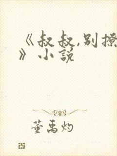 《叔叔,别撩我》小说
