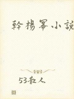 干杨幂小说