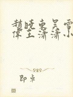 赵晓东吴雪晴郑伟王潇潇小说名字