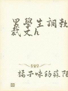 男学生调教男总裁文h