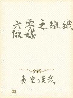 六零之组织给我做媒
