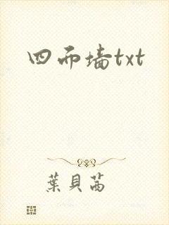 四面墙txt封面