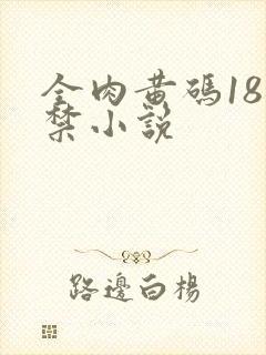 全肉黄码18无禁小说