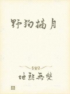 野狗摘月