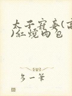 太子宠妾(高肉)红烧肉包