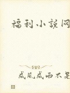 福利小说网