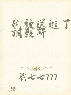 我被送进了私奴调教所