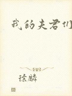 我的夫君们