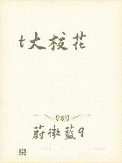 t大校花