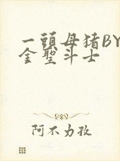 一头母猪BY黄金圣斗士封面