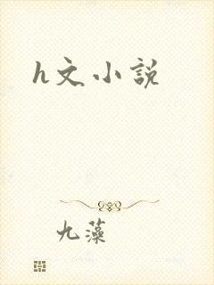 h文小说