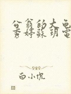 公翁的大龟挺进秀婷苏玥电影