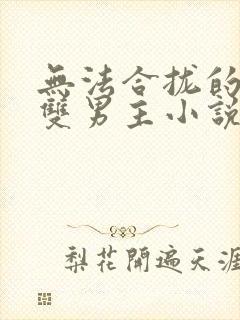 无法合拢的总裁双男主小说